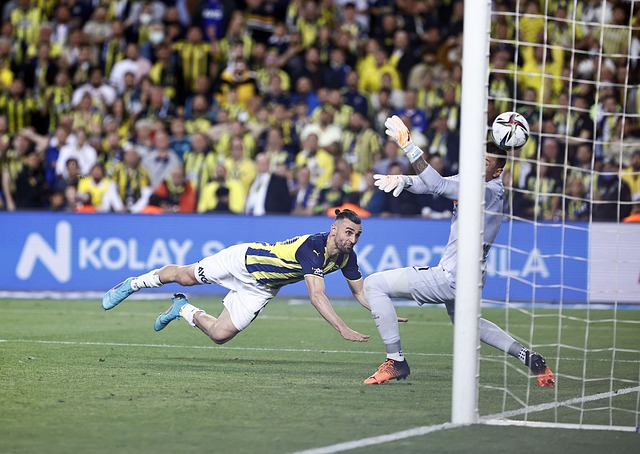 重慶銅梁龍 重慶銅梁龍